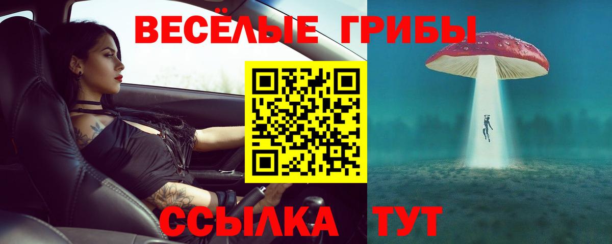 Галлюциногенные грибы прущие грибы Выкса